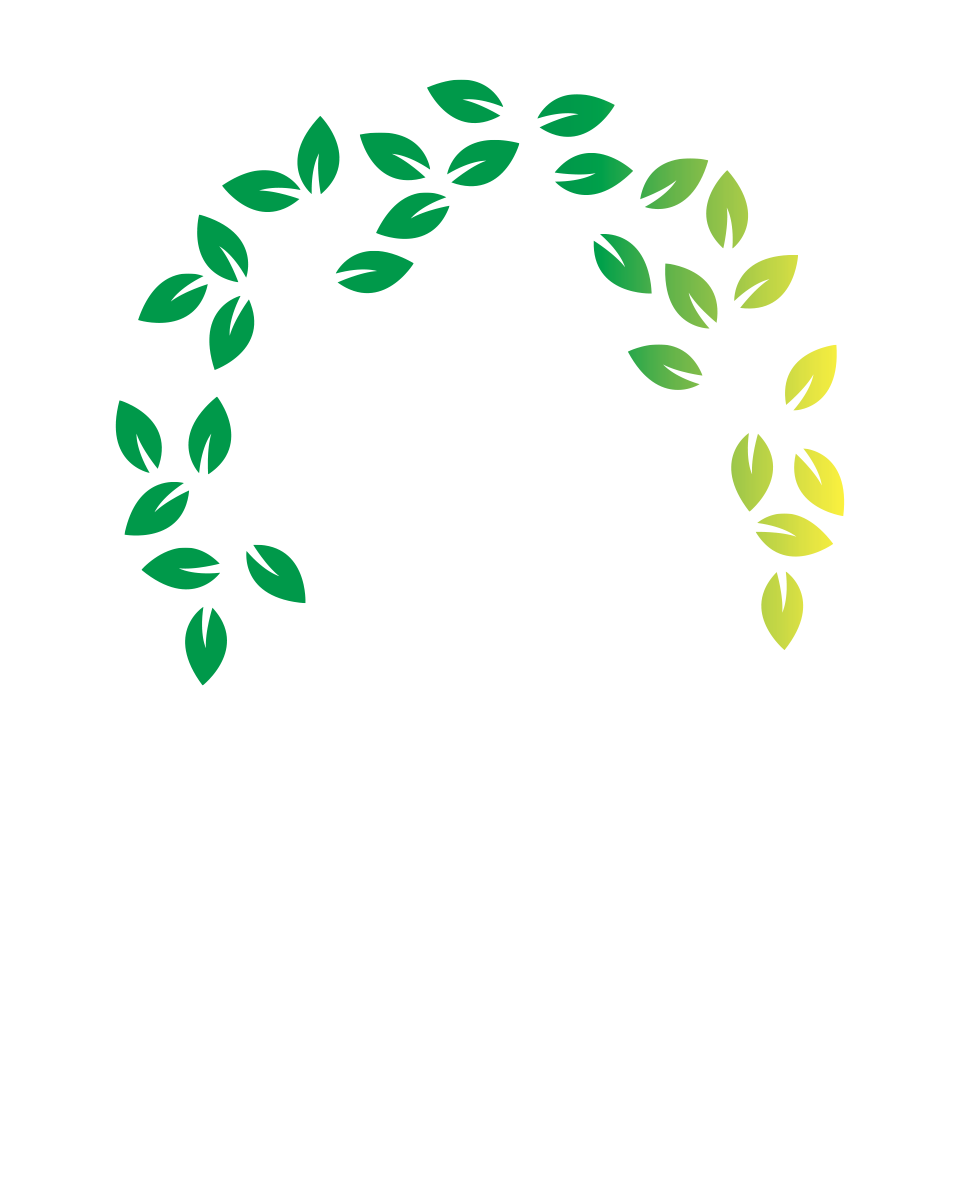BükkForYou